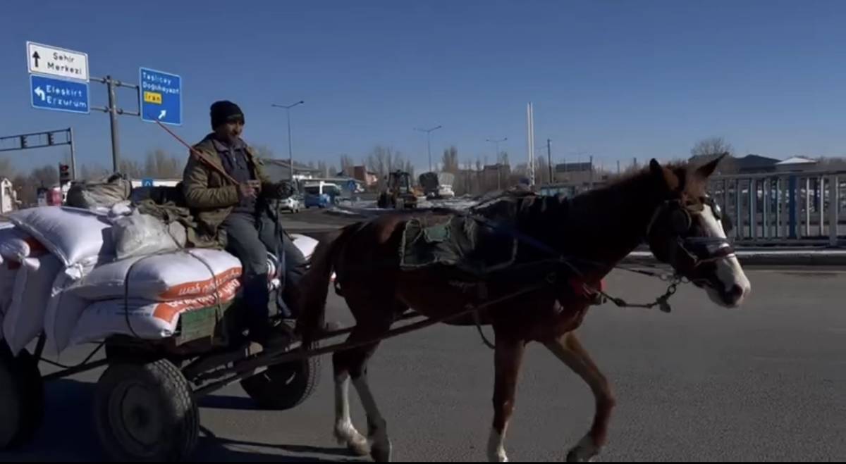 Ağrı’da Soğuk Hava Etkisini Göstermeye Devam Ediyor