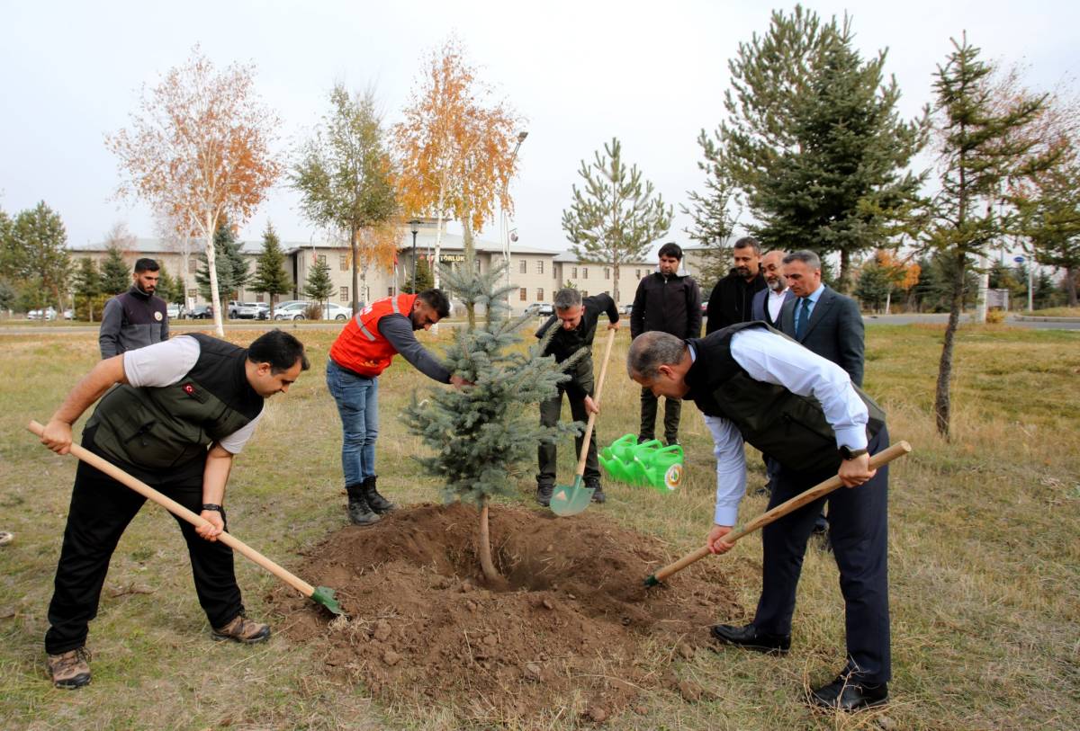 Ağrı’da 100 Bin Metrekarelik Ağaçlandırma Başlıyor
