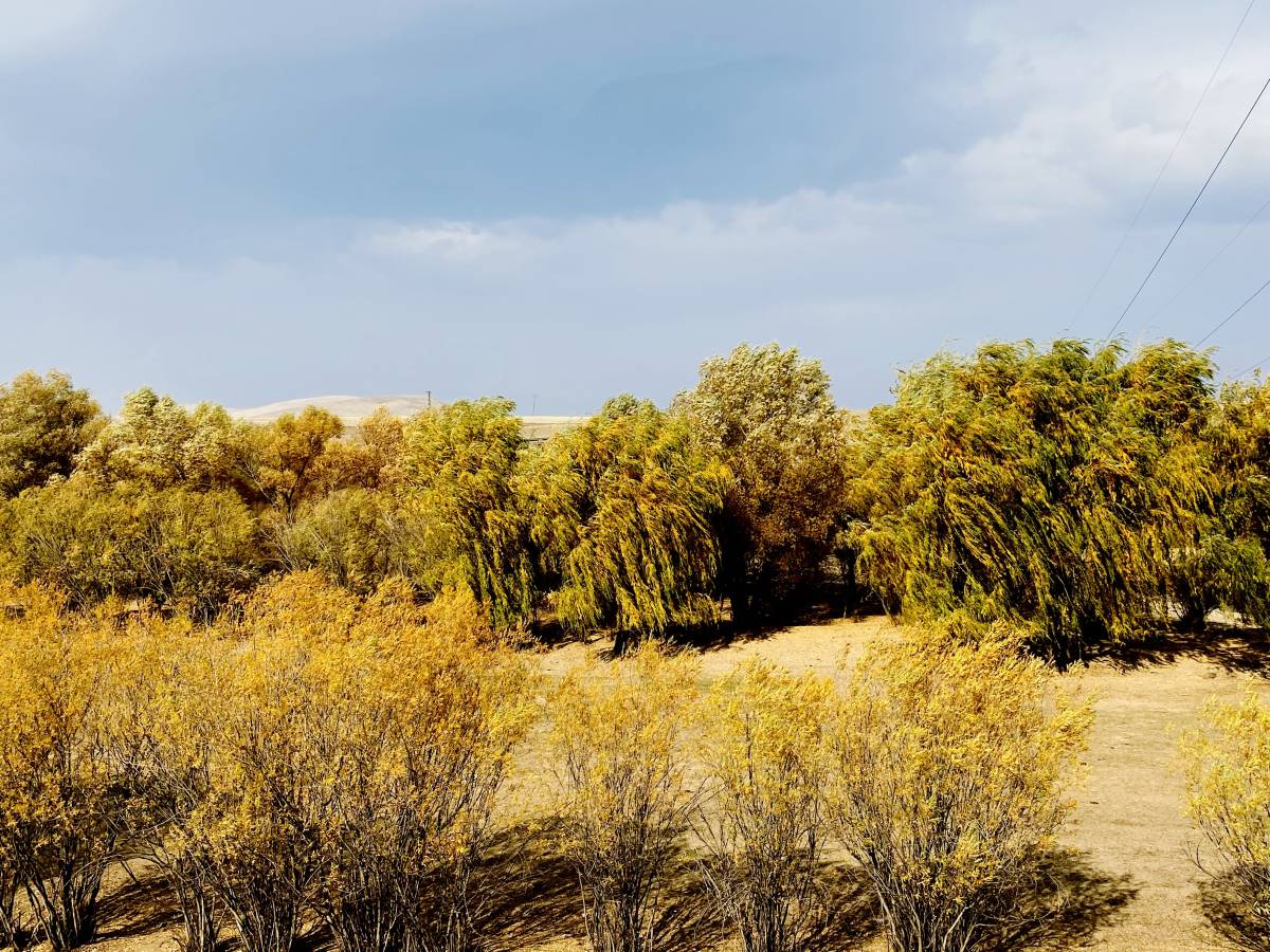 Ağrı’da Sonbahar Güzelliği