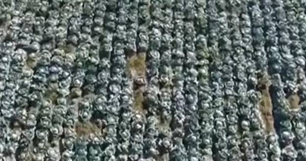 Erciş Kaymakamı Murat Karaloğlu Lahana Hasadına Katıldı