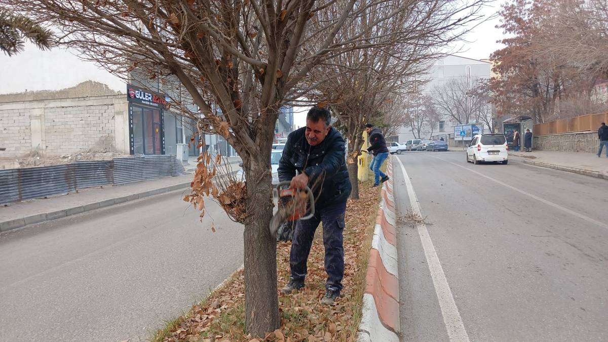 Ağrı’da Kent Genelinde Ağaç ve Çalı Budama Çalışması
