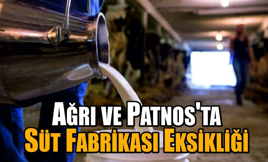 Süt Üretimi Yüksek, Yatırım Yok: Ağrı ve Patnos'ta Süt Fabrikası Eksikliği
