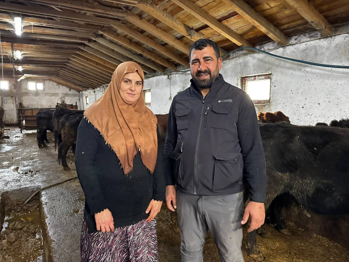 Ağrı’da ilk kez Angus düve desteği verildi