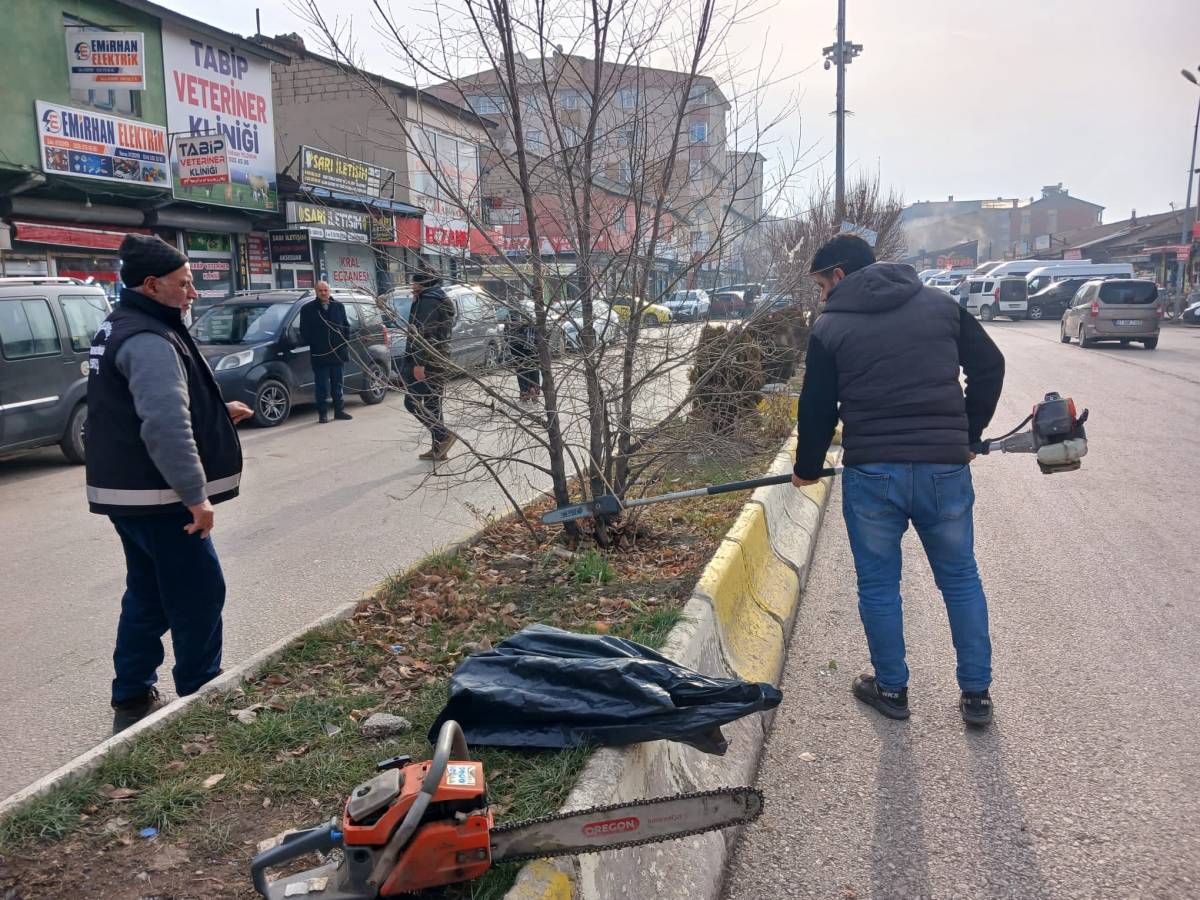 Ağrı’da Kent Genelinde Ağaç ve Çalı Budama Çalışması