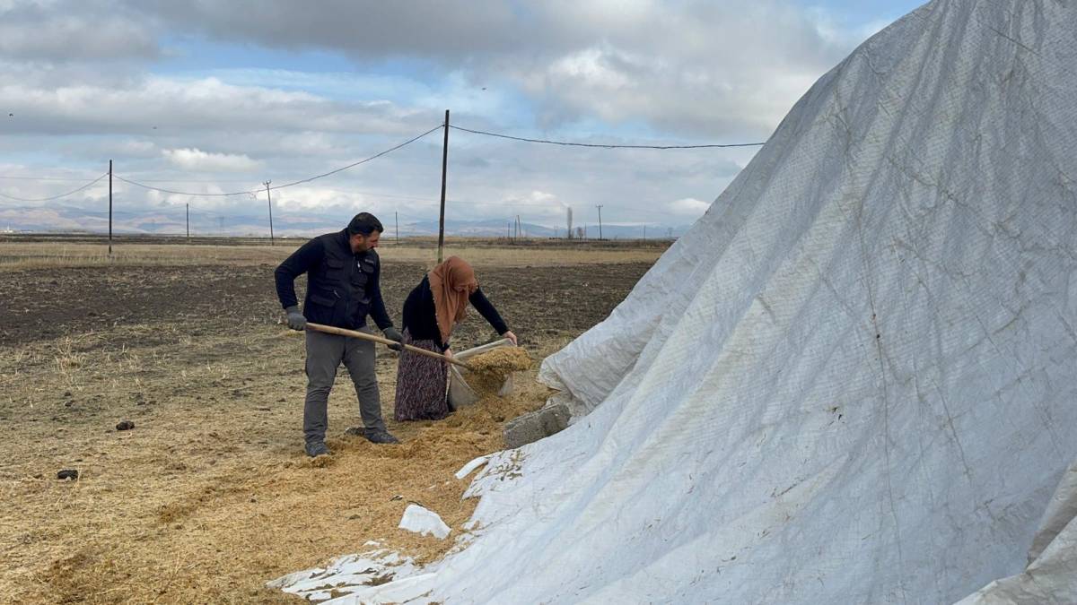 Ağrı’da ilk kez Angus düve desteği verildi