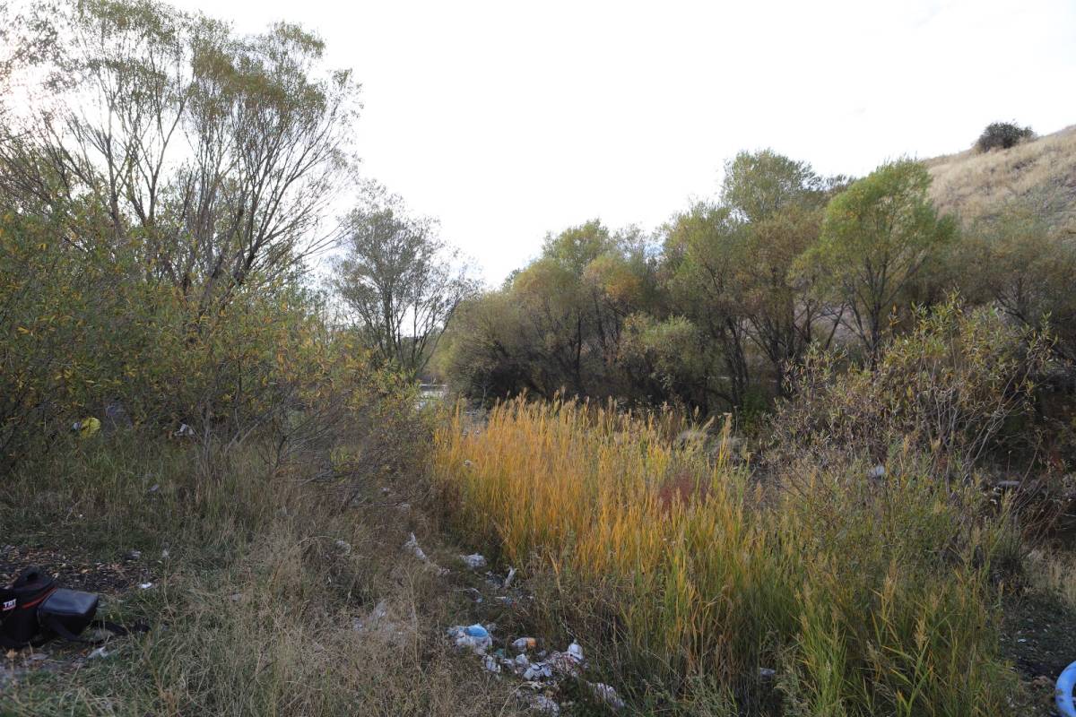 Ağrı’da kırağıyla başlayan gün, güneşle birlikte güzelleşti