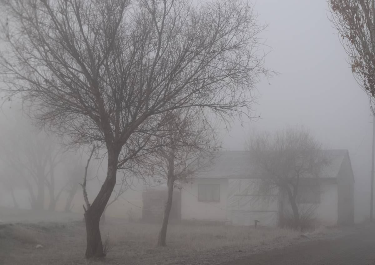 Ağrı’da Soğuk Hava ve Sis Etkili Oldu