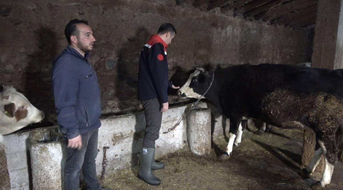 Ağrı’da Uzman Eller Projesi Gençleri Üretime Kazandırıyor