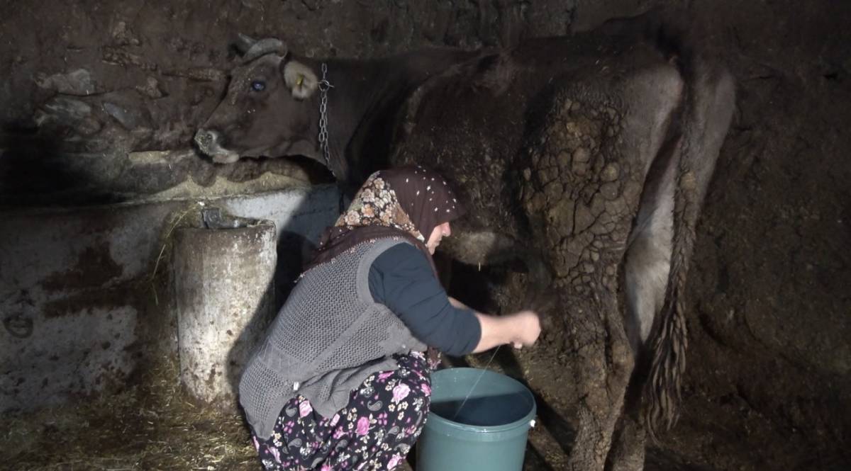Ağrı’da Uzman Eller Projesi Gençleri Üretime Kazandırıyor