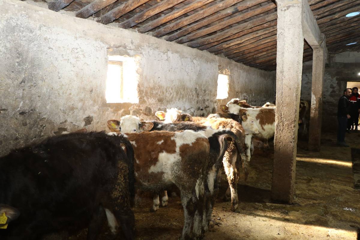 Ağrı’da Uzman Eller Projesi Gençleri Üretime Kazandırıyor