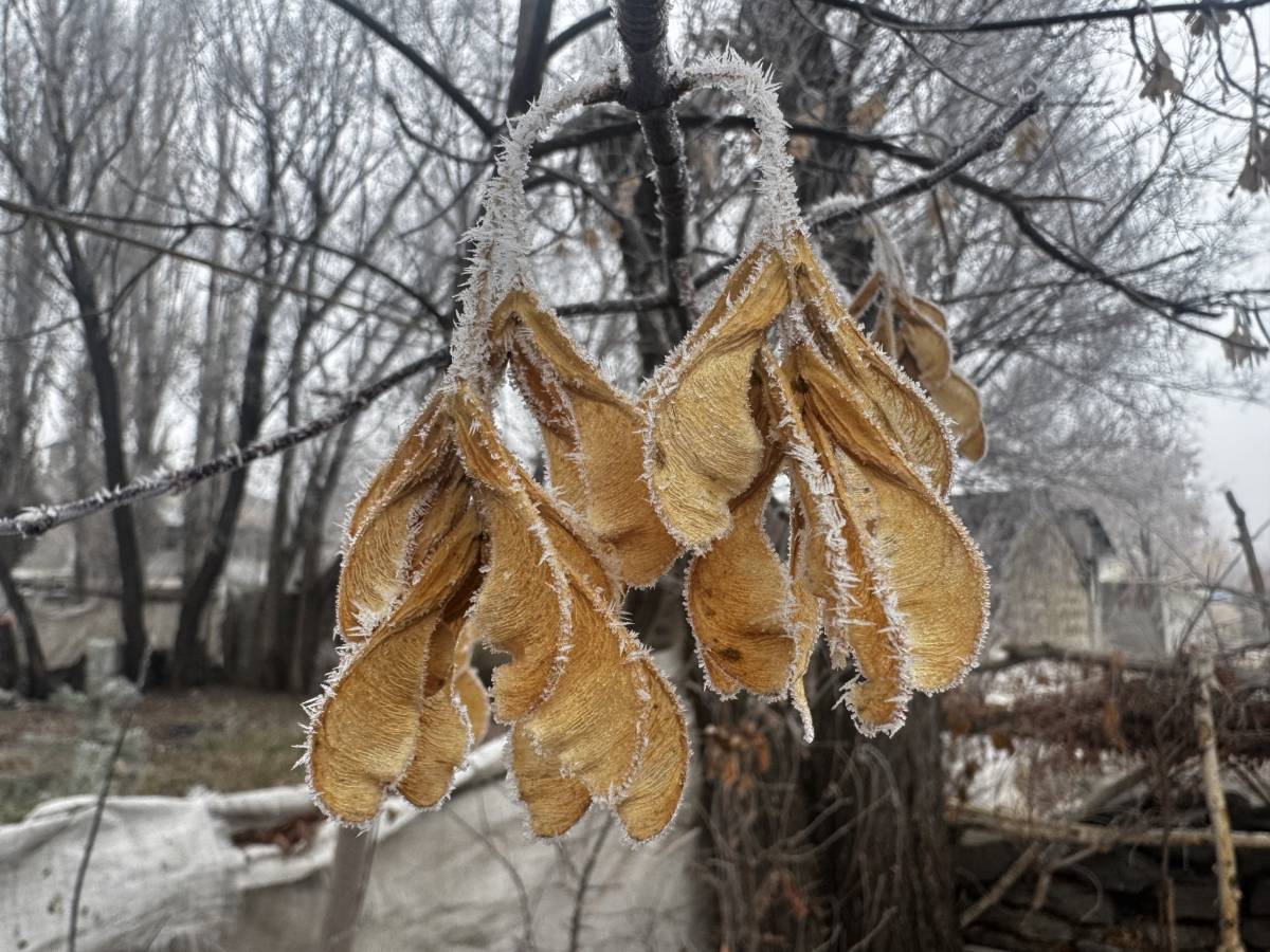 Ağrı’da Soğuk Hava Etkisini Artırıyor