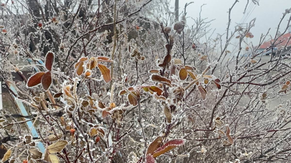 Ağrı’da Kışın Büyüleyici Yüzü