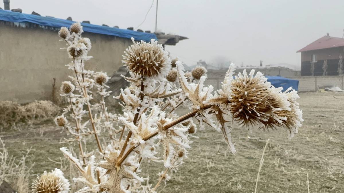 Ağrı’da Kışın Büyüleyici Yüzü