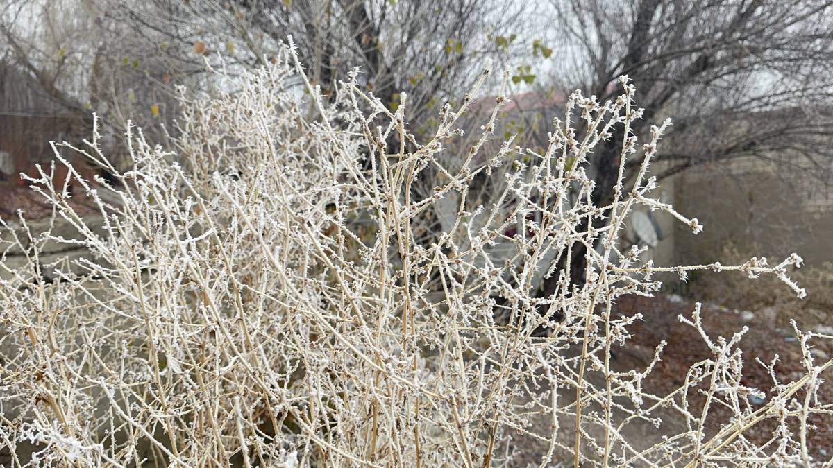 Ağrı’da Kışın Büyüleyici Yüzü