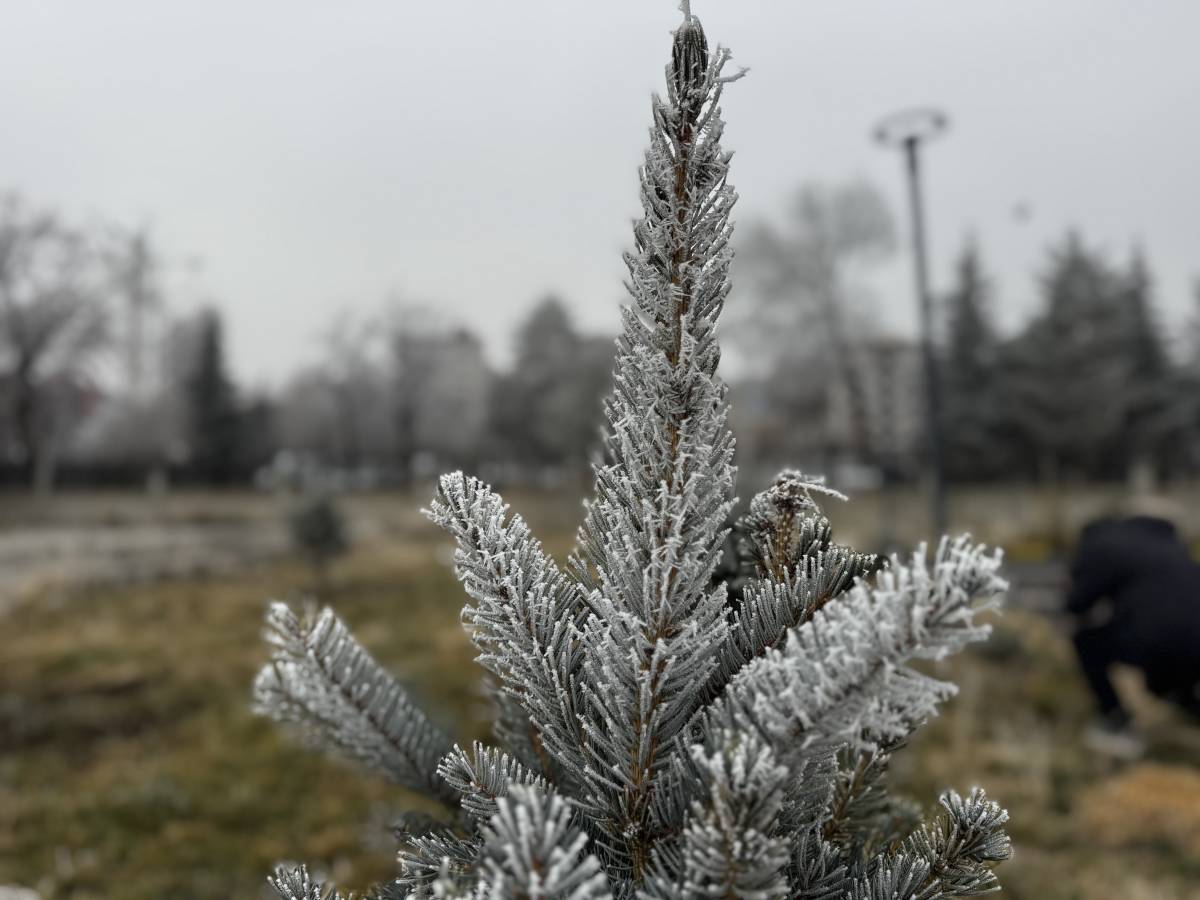 Ağrı’da Dondurucu Soğuk Devam Ediyor