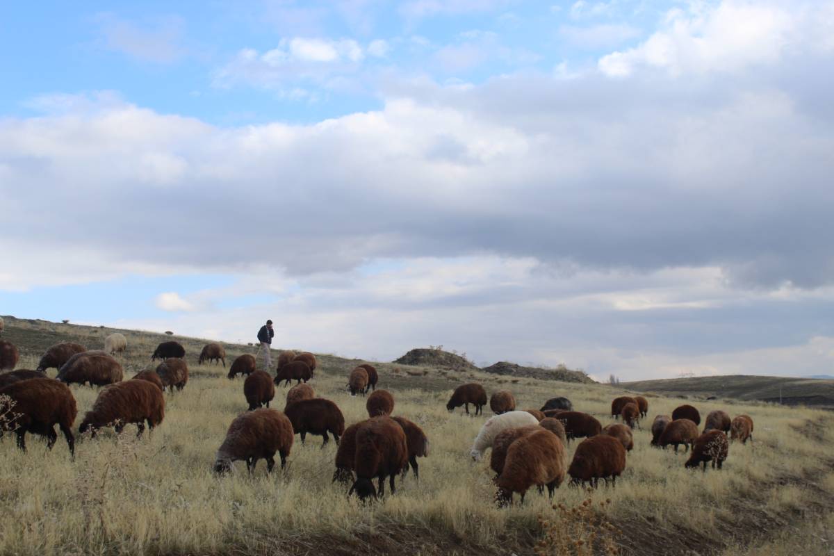 Patnos'ta kar yağışının gecikmesi çiftçinin yüzünü güldürdü