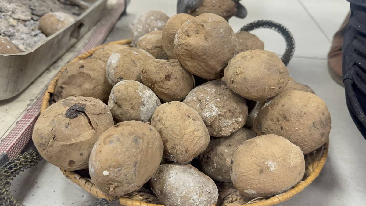 Ağrı’da Köz Patates Geleneği Sürüyor