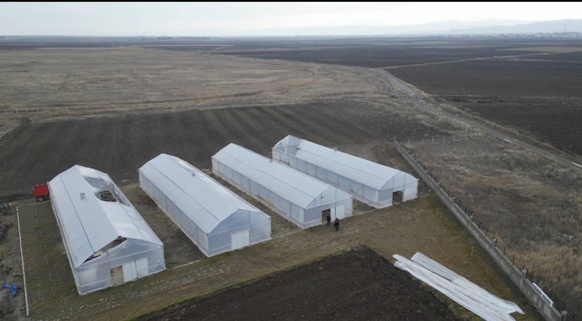 Ağrı’da Seralarda Kışlık Yeşillik Üretimi Test Ediliyor