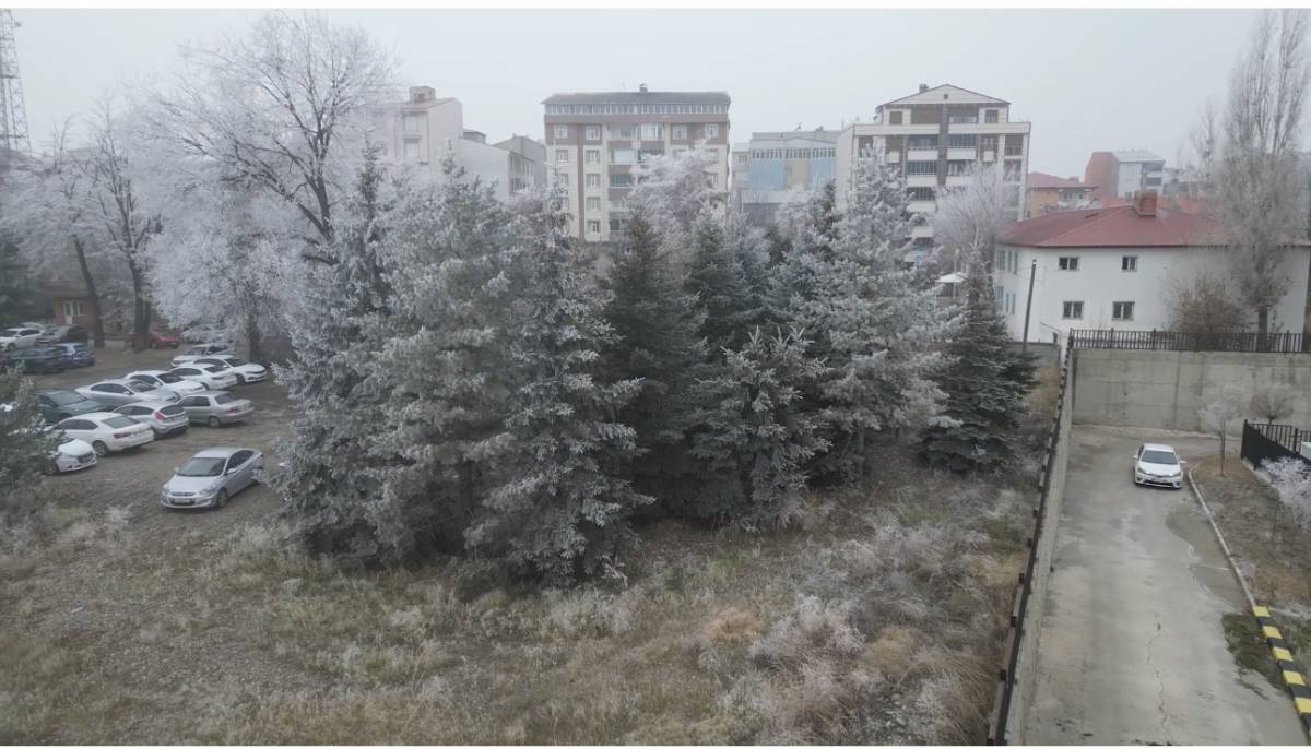 Ağrı’da Nehir ve Ağaçlar Dronla Sis Perdesi Altında Görüntülendi