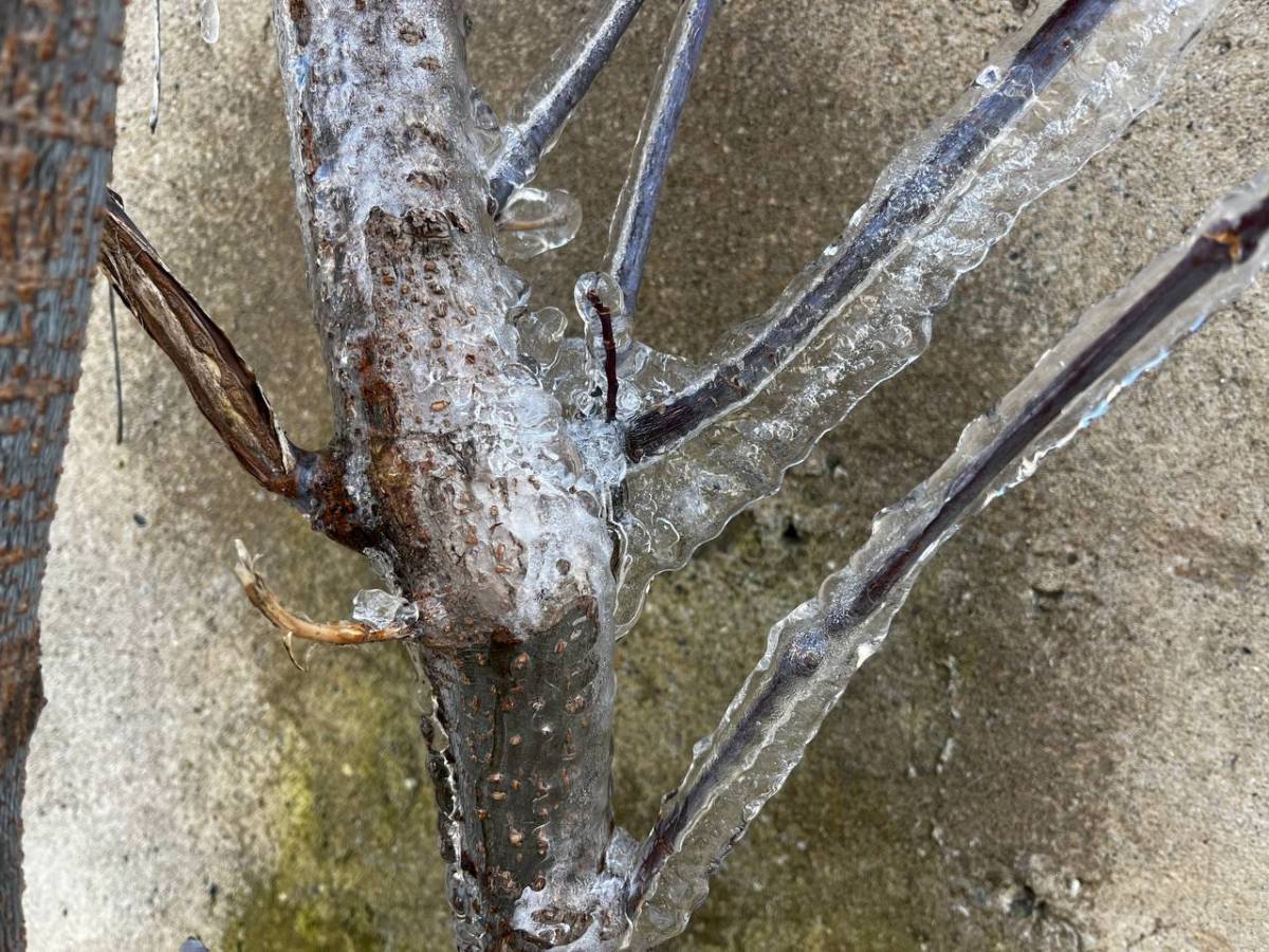 Ağrı’da termometreler eksi 7’yi gördü