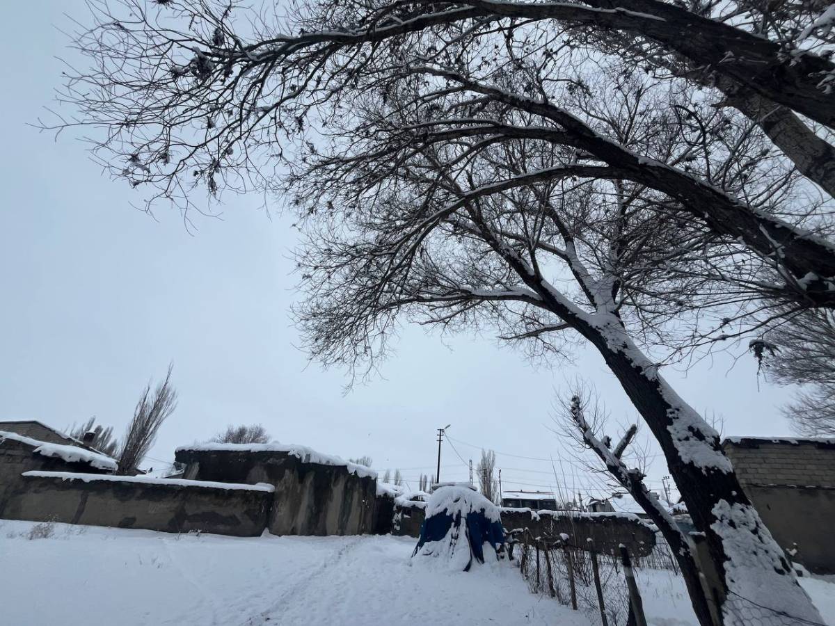 Doğubayazıt Yeniden Beyaza Büründü