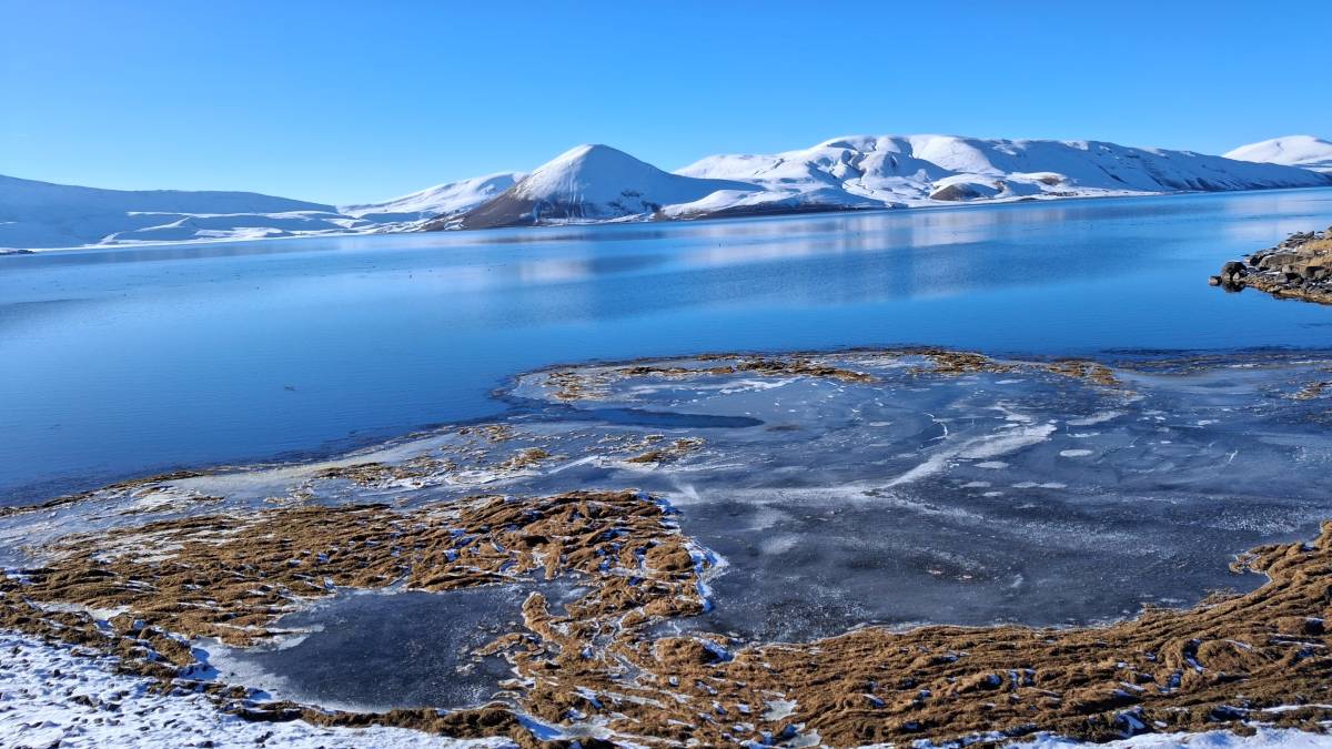 Türkiye’nin En Yüksek Rakımlı Balık Gölü’nün Yüzeyi Kısmen Buz Tuttu