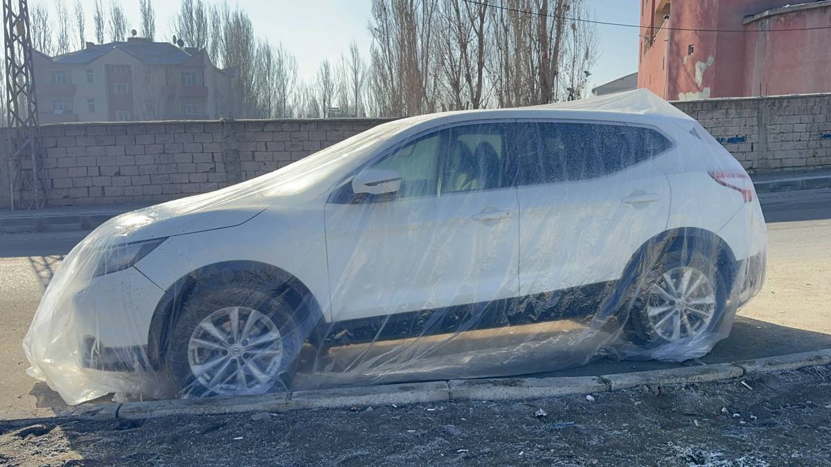 Ağrı’da dondurucu soğuklar etkili oldu