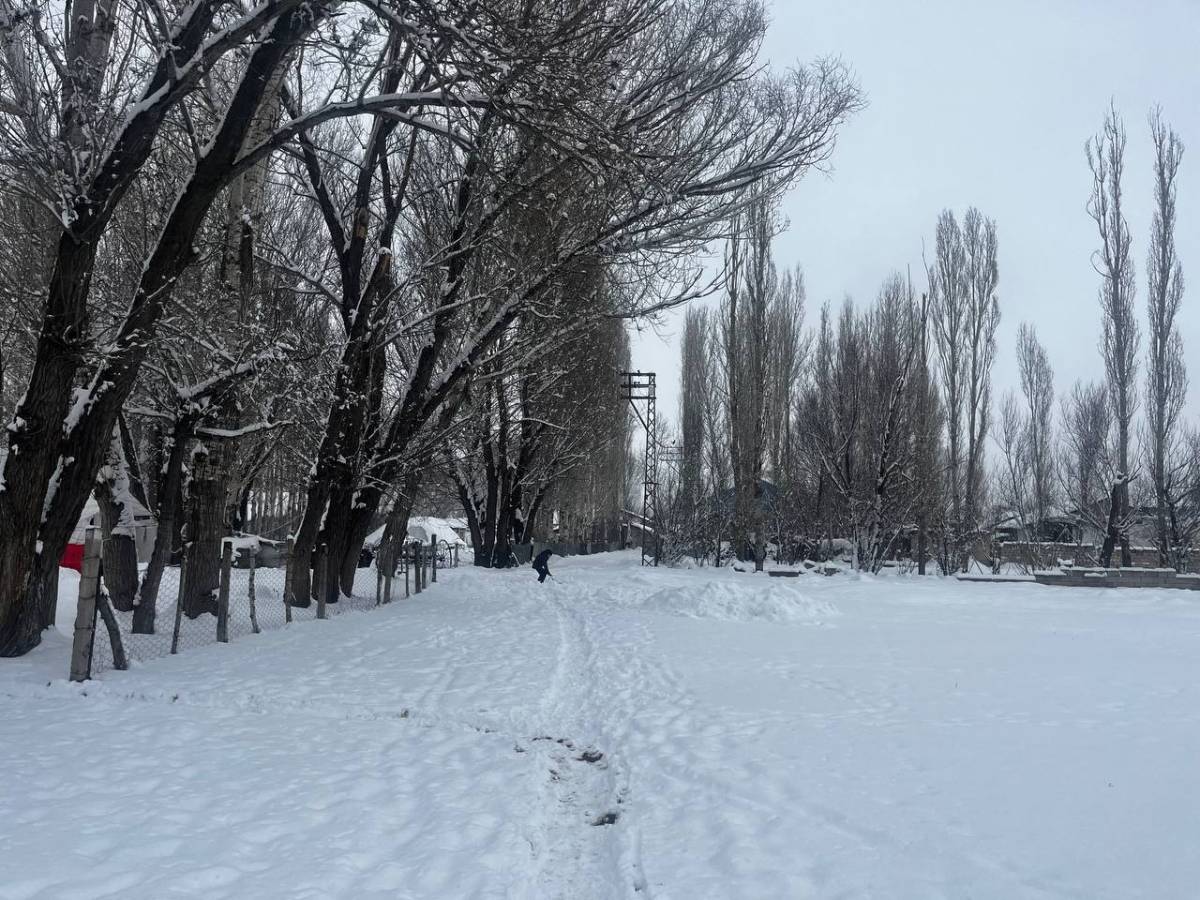Ağrı’da gece yağan kar kenti beyaza boyadı