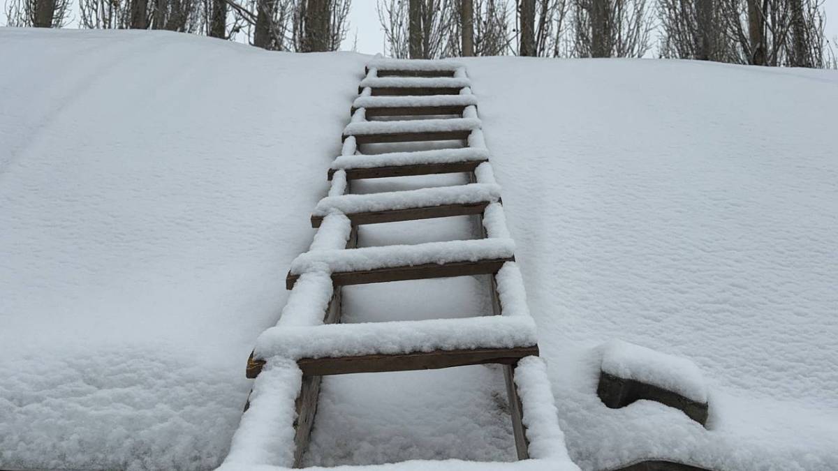 Ağrı’da gece yağan kar kenti beyaza boyadı