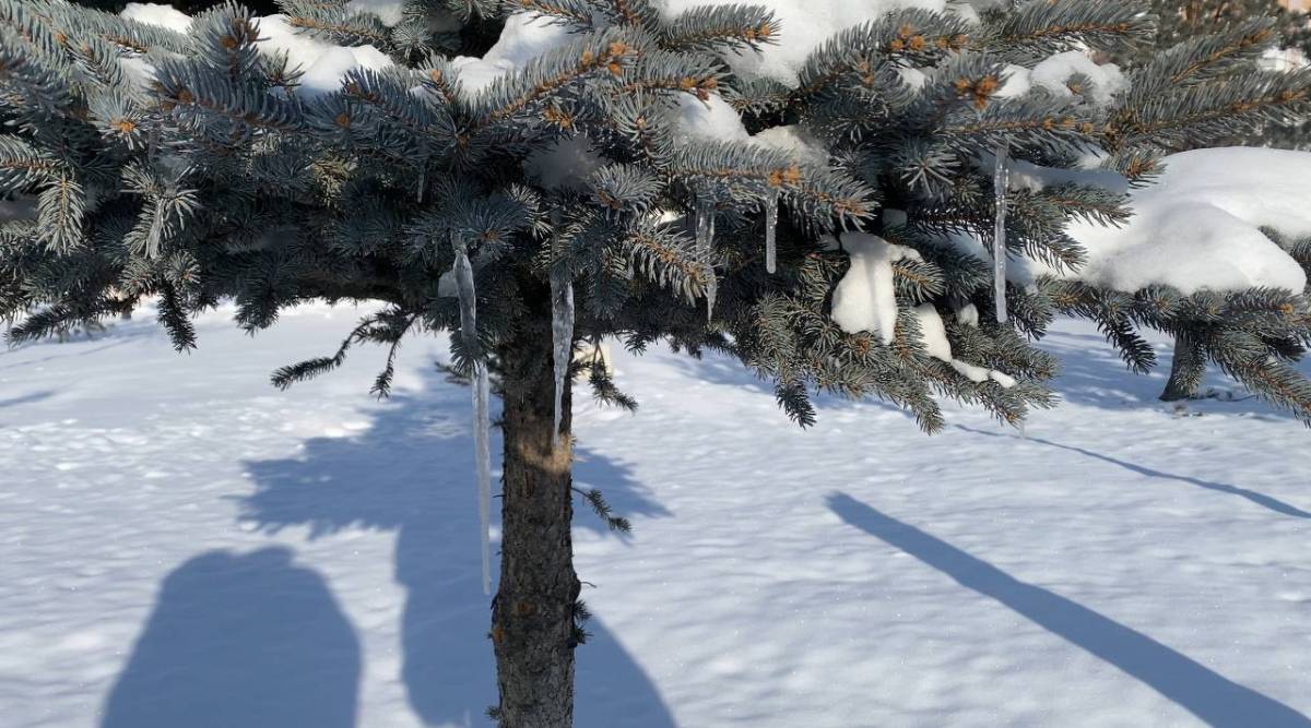 Ağrı’da soğuk hava etkisini artırdı, termometreler eksi 18’i gösterdi