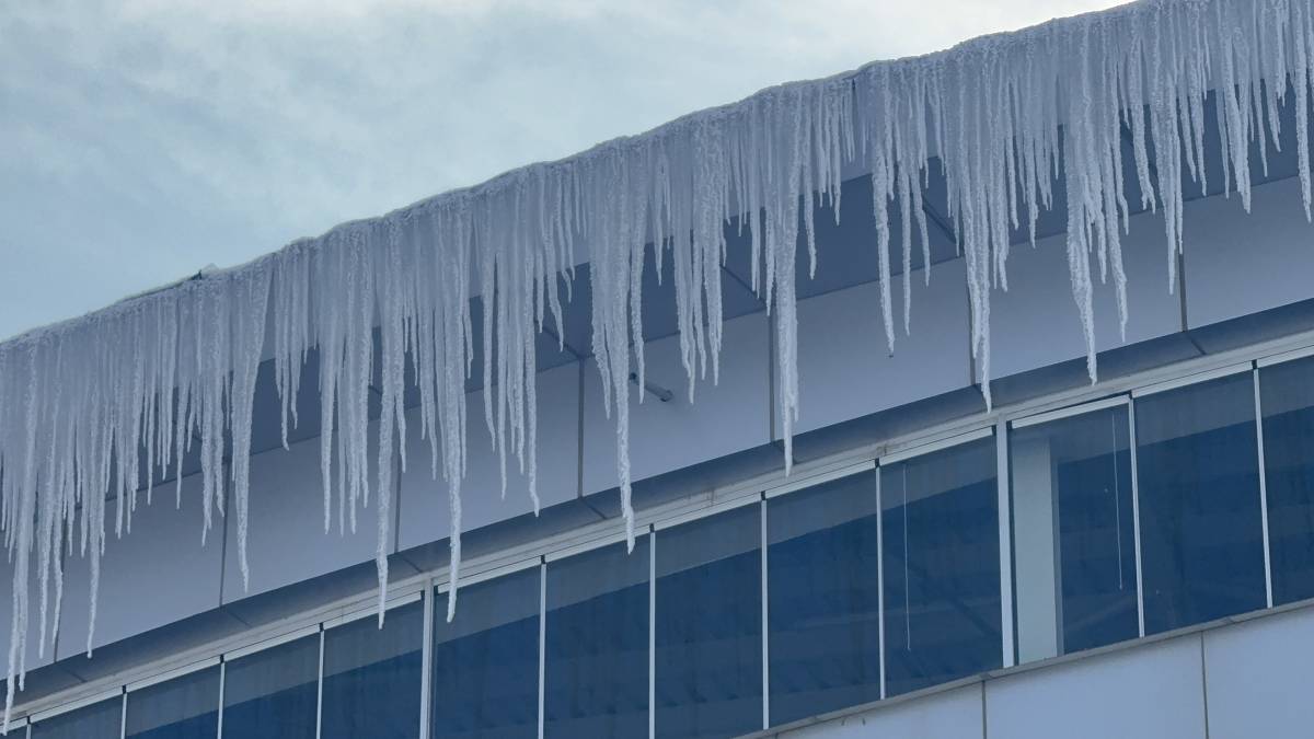 Ağrı’da Soğuk Hava ve Sis Etkili Oldu