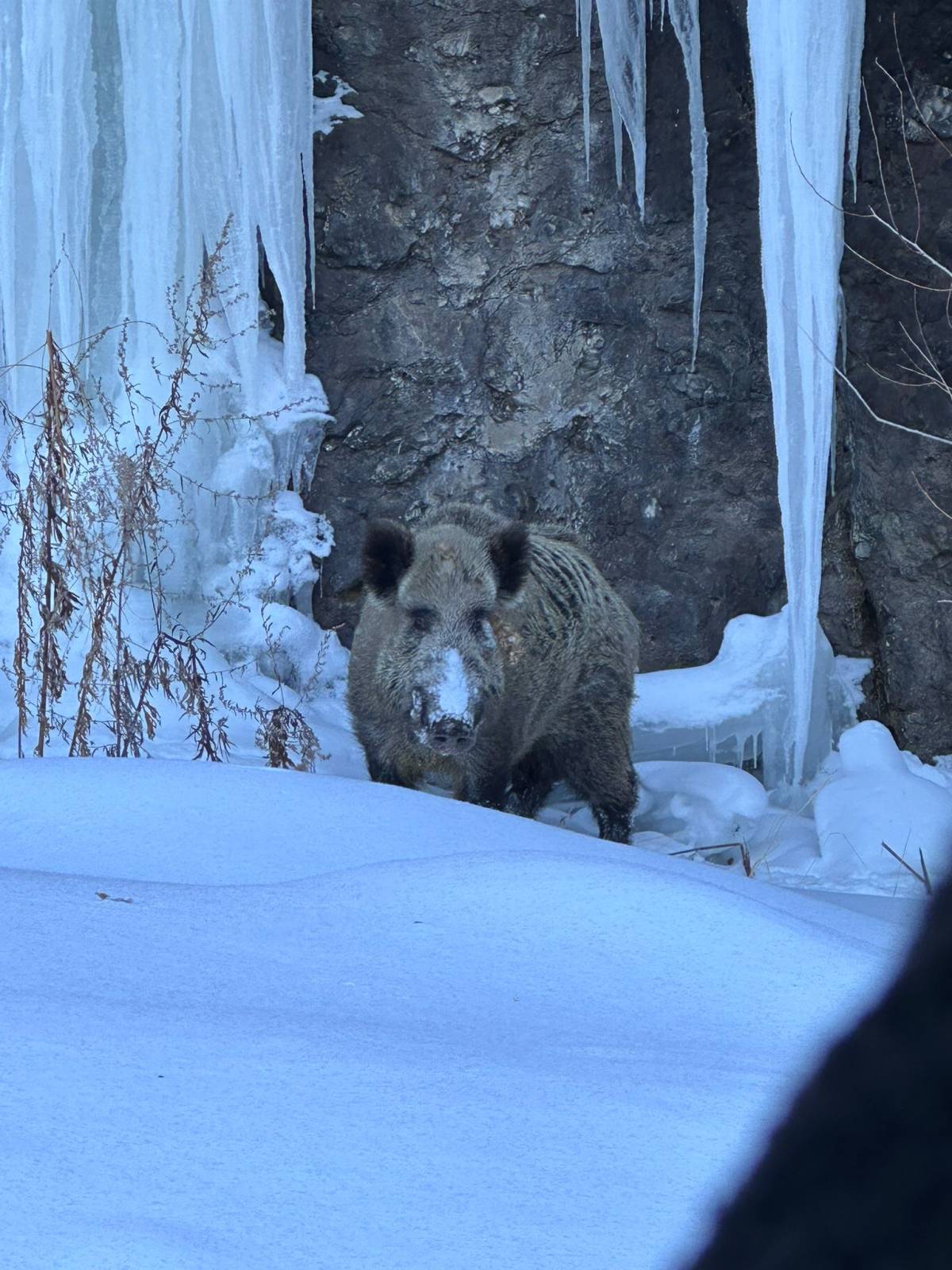 Eleşkirt’te Çığa Rağmen Köy Yolları Açıldı