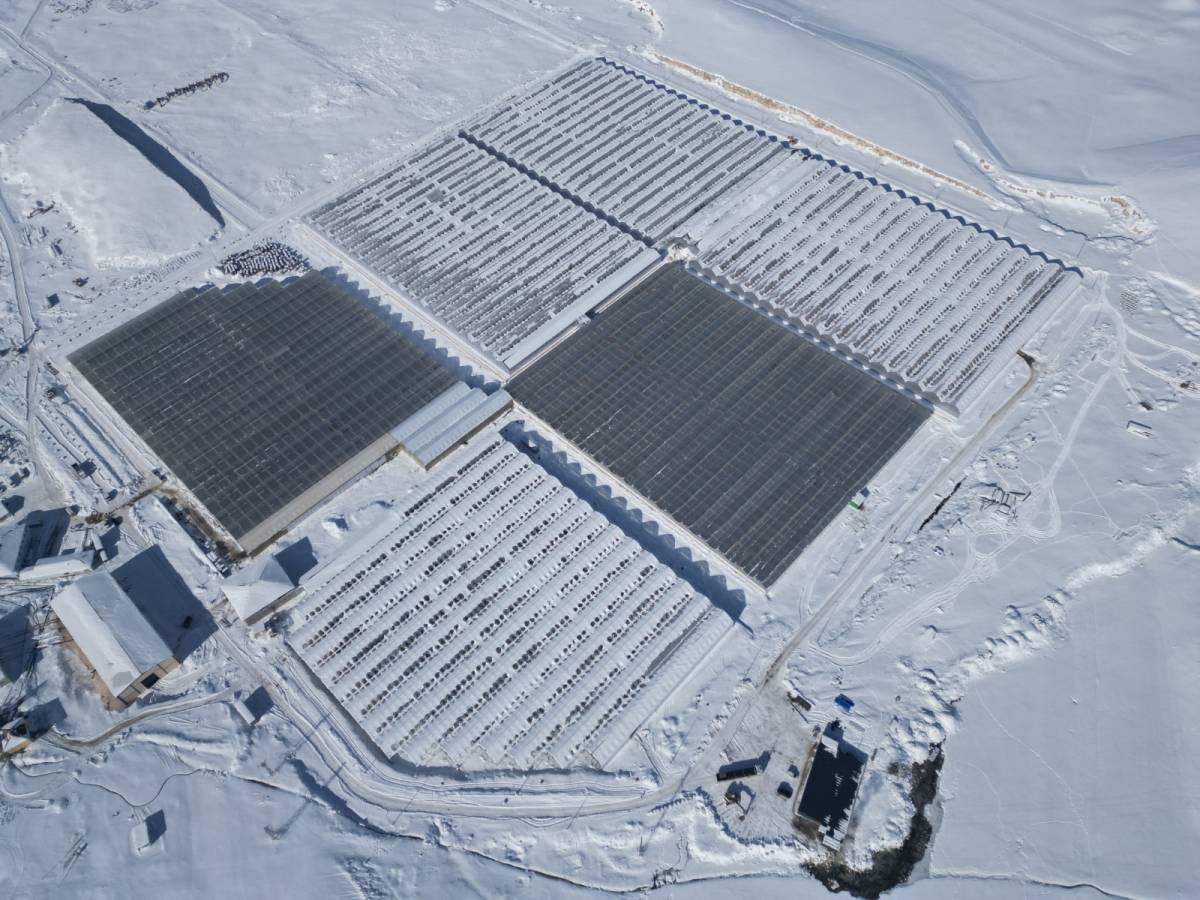 Ağrı Valisi Bozkurt: “Diyadin’de tarım ve istihdam güçlenecek”