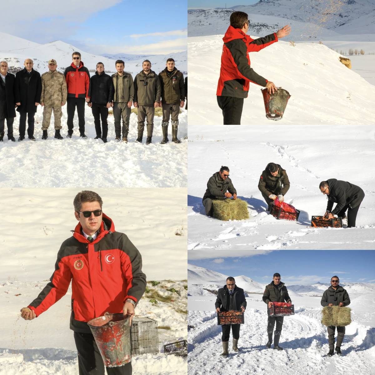 Erciş’te Yaban Hayvanları İçin Doğaya Yem Bırakıldı