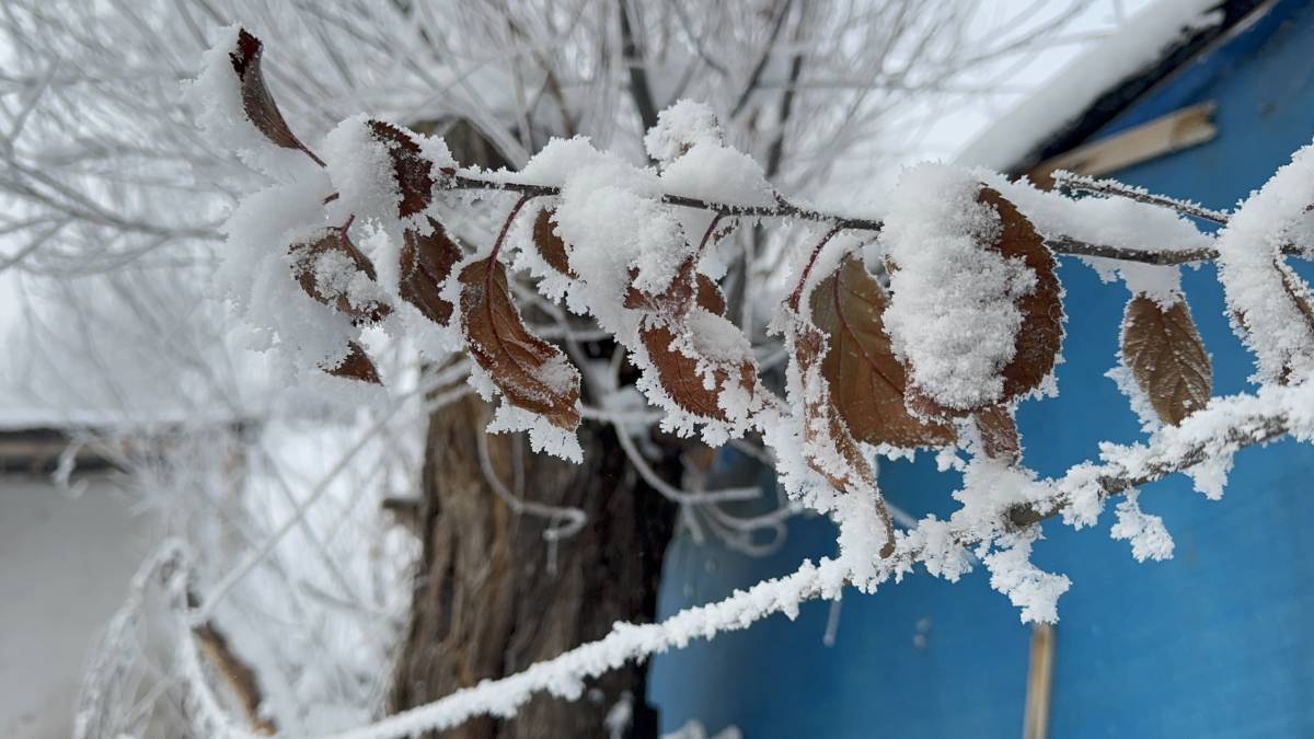 Ağrı’da termometreler eksi 24’ü gösterdi