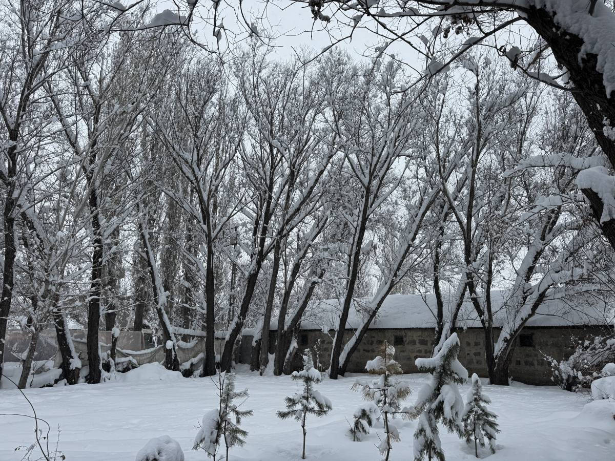 Beyaz esaret Ağrı’yı teslim aldı