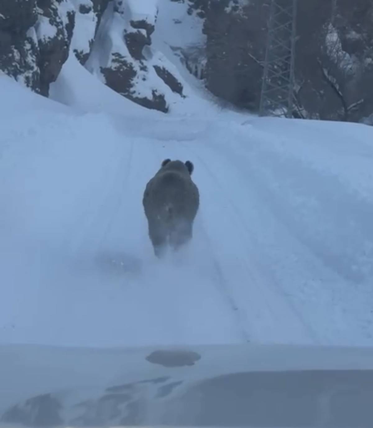 Ağrı’da karla mücadele dönüşünde sürpriz karşılaşma