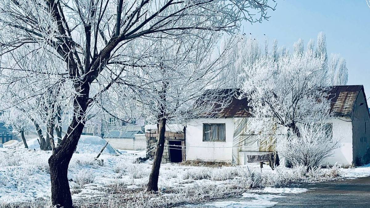 Ağrı’da Dondu, Hayat Durma Noktasına Geldi