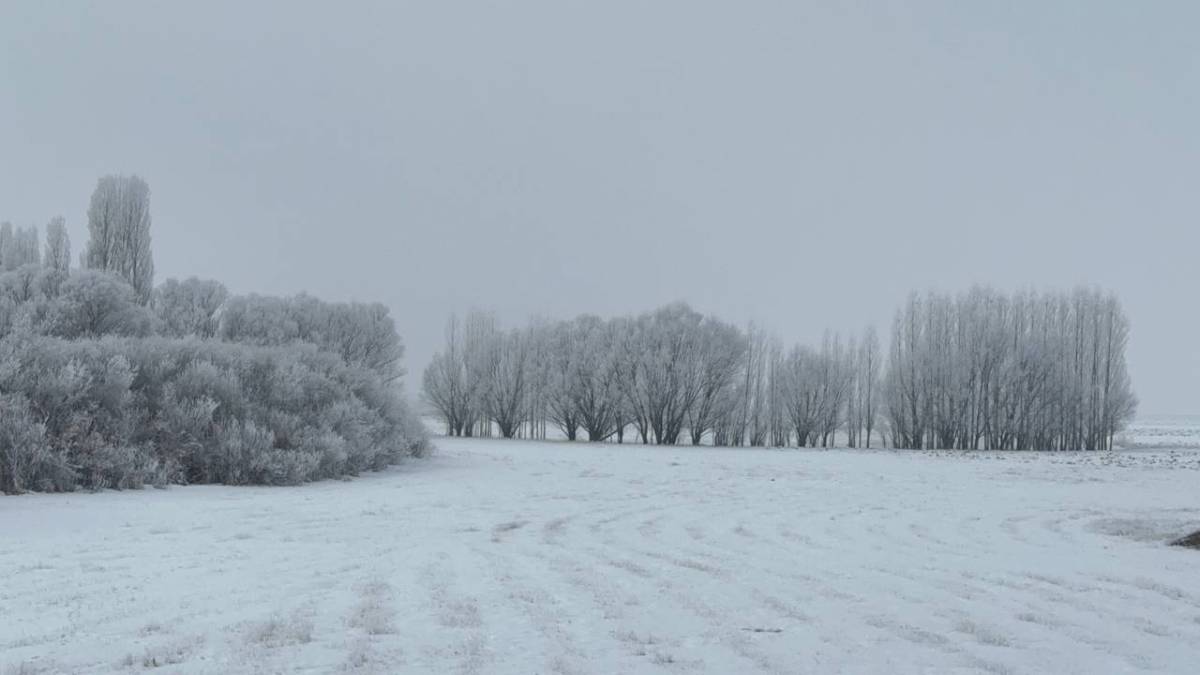 Ağrı’da Dondu, Hayat Durma Noktasına Geldi