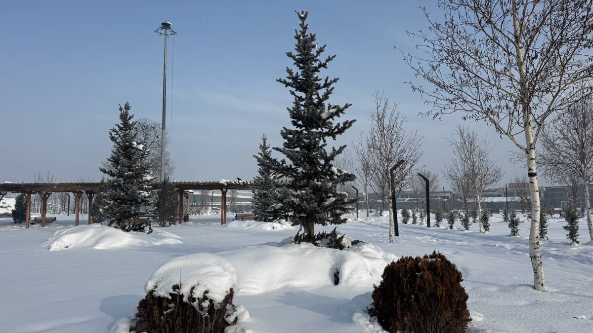 Ağrı’da Kar Manzarası Kartpostallık Görüntüler Oluşturdu