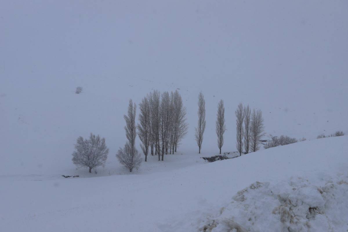 Ağrı’da Gece Yağan Kar Köyleri Beyaza Gömüldü