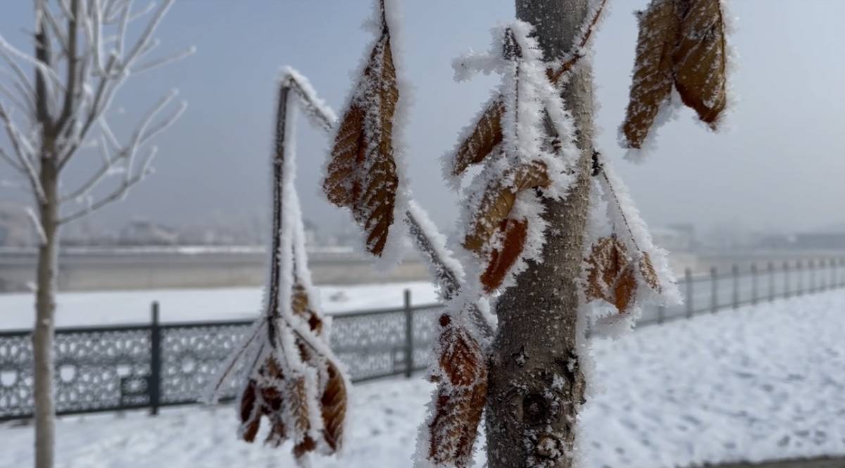 Ağrı’da Garajdaki Araçlar Bile Dondu