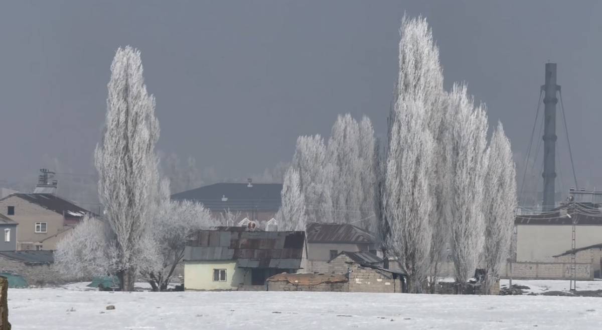 Ağrı’da Garajdaki Araçlar Bile Dondu