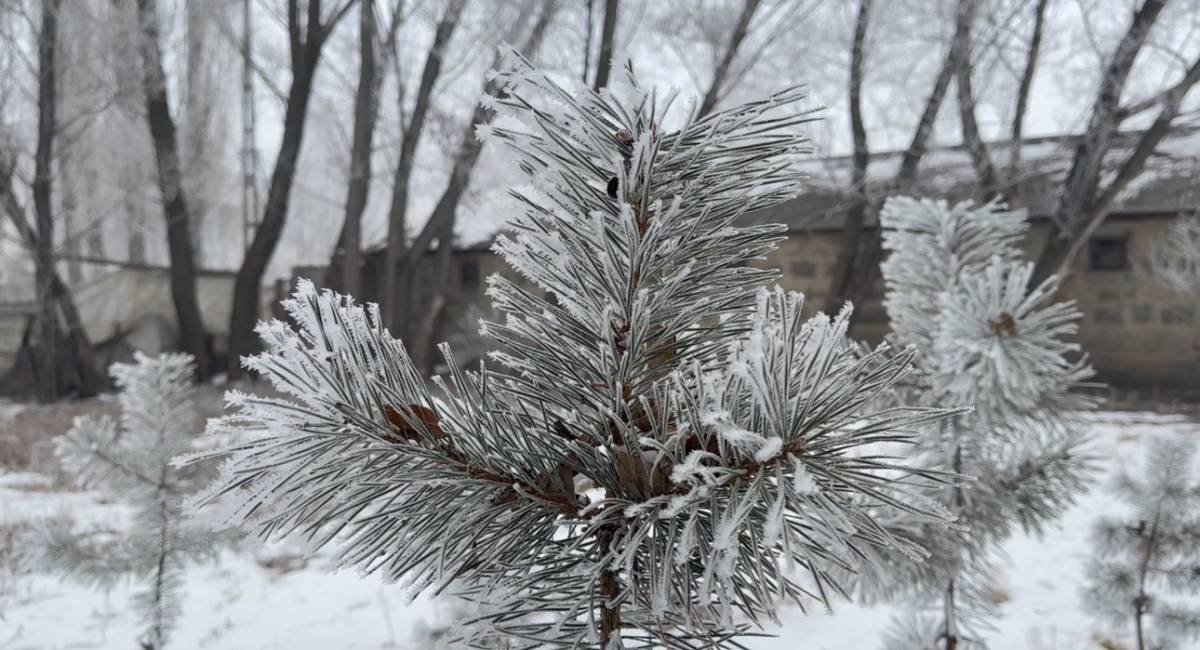Ağrı’da hava yine buz kesti