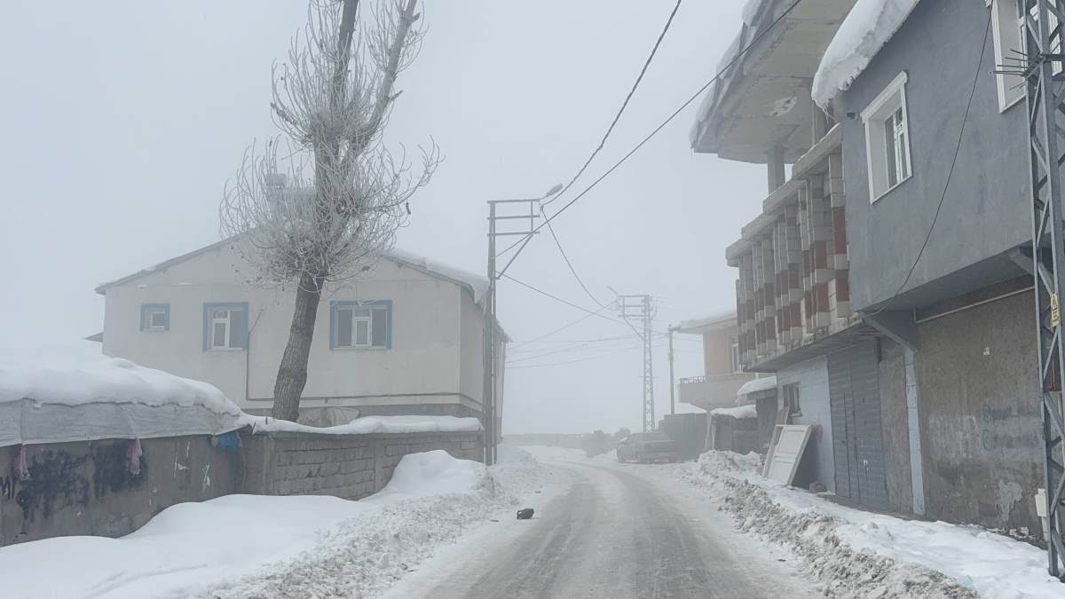 Ağrı’da Yoğun Sis ve Kırağı Etkili Oldu