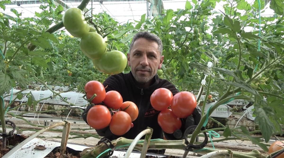 Ağrı Valisi Bozkurt: “Diyadin’de tarım ve istihdam güçlenecek”