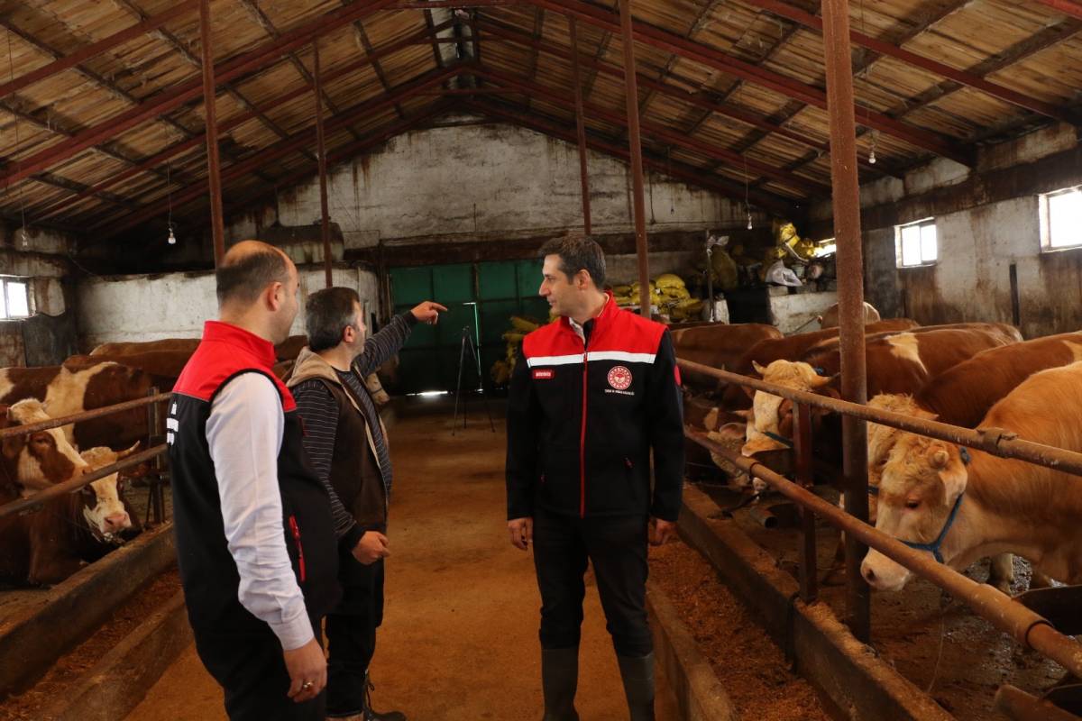 Ağrı’da yetiştiriciye devlet desteği