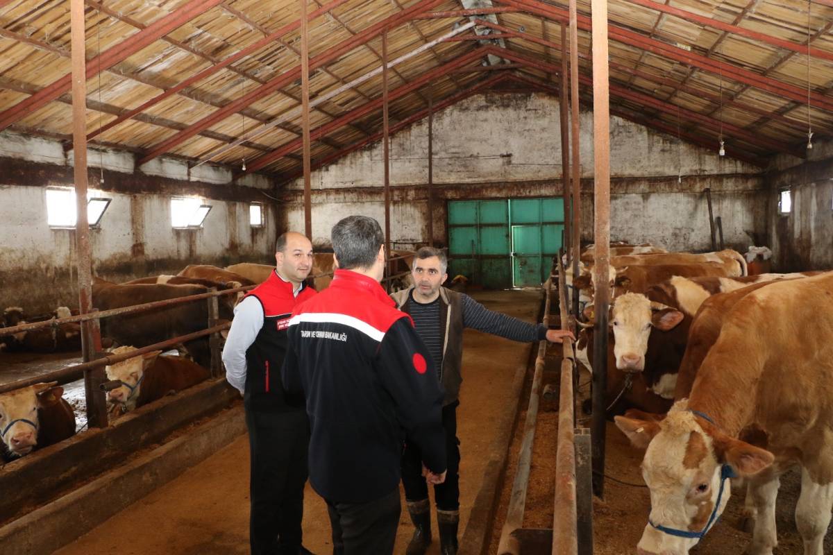 Ağrı’da yetiştiriciye devlet desteği