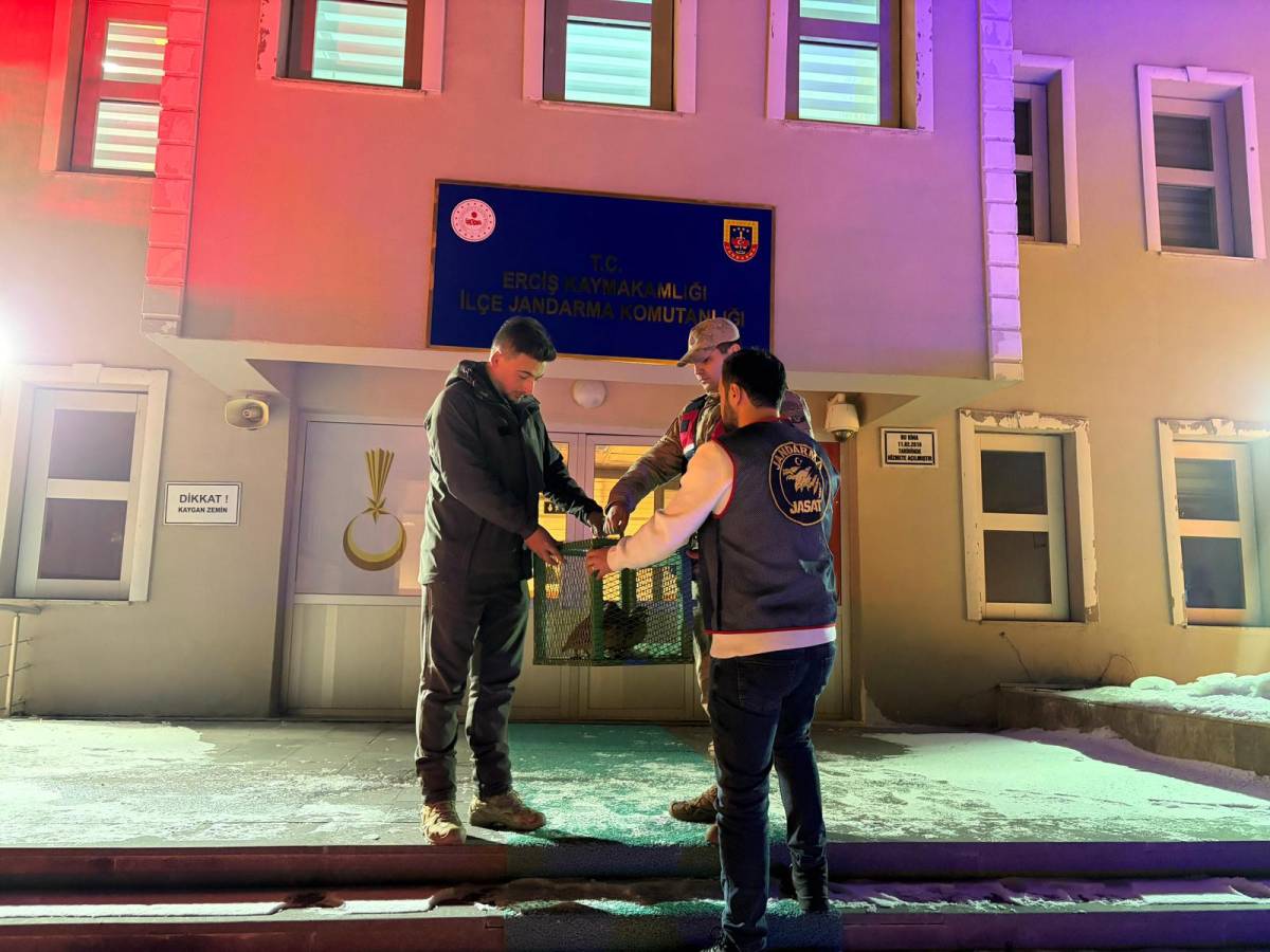 Erciş’te Kaçak Avcılara Geçit Yok; 193 Bin TL Ceza Kesildi