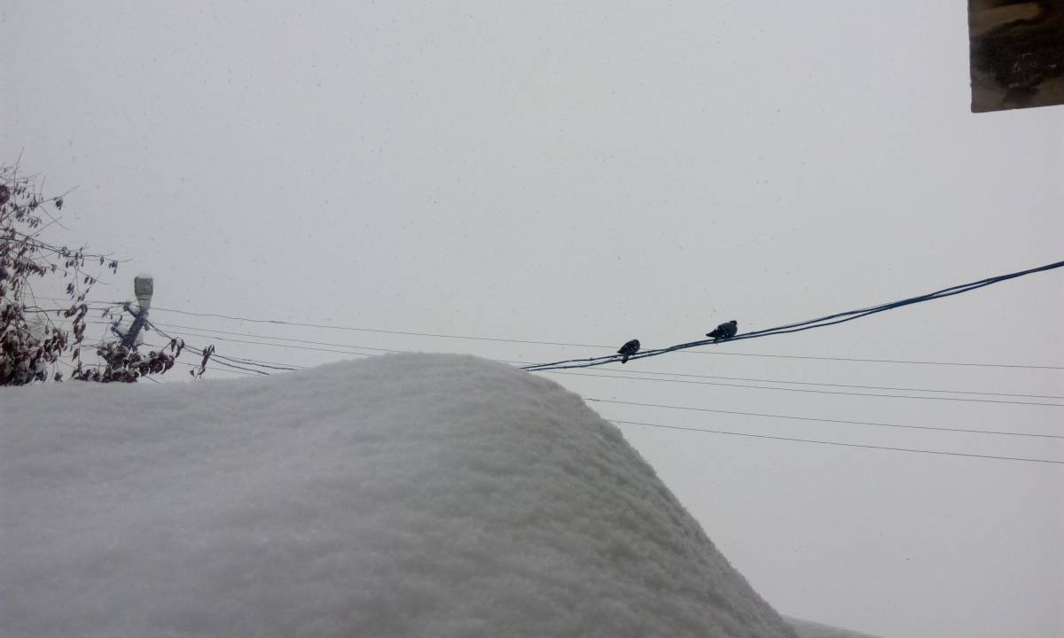 Ağrı’da kar ve soğukla gelen kartpostallık manzara